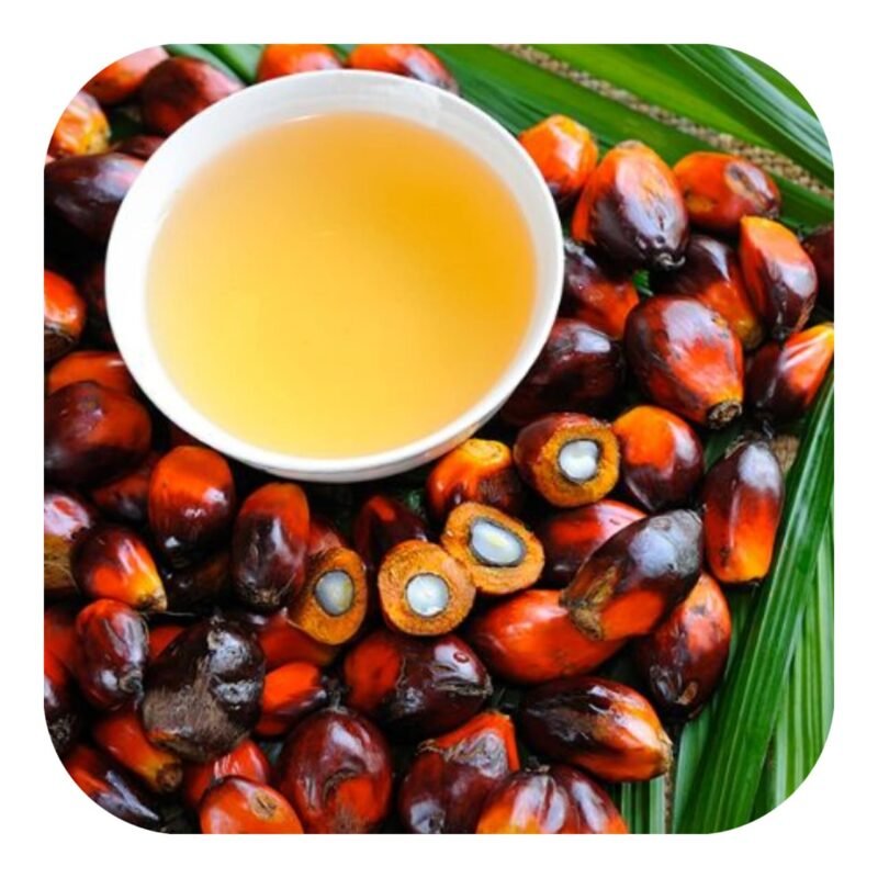 Import-Export et Vente d'huile de palme